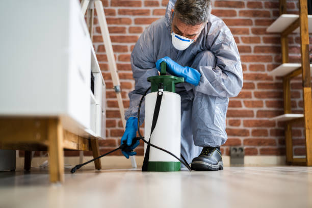 Real Estate Pest Inspections in Clear Lake, WI